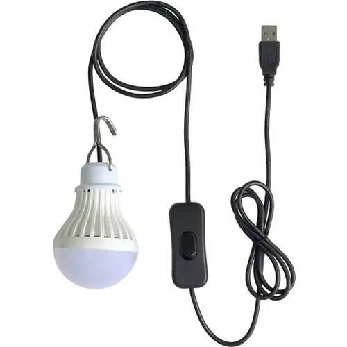 BIGLED-DENKYU USB接続LED電球 電球色
