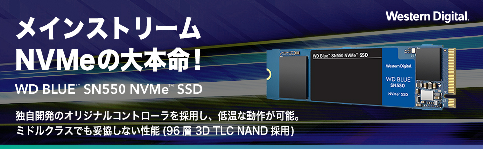 WesternDigital WD Blue SN550 NVMe SSD