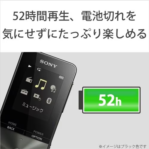 SONY ソニー NW-S313 (L) [4GB ブルー] ウォークマン Sシリーズ