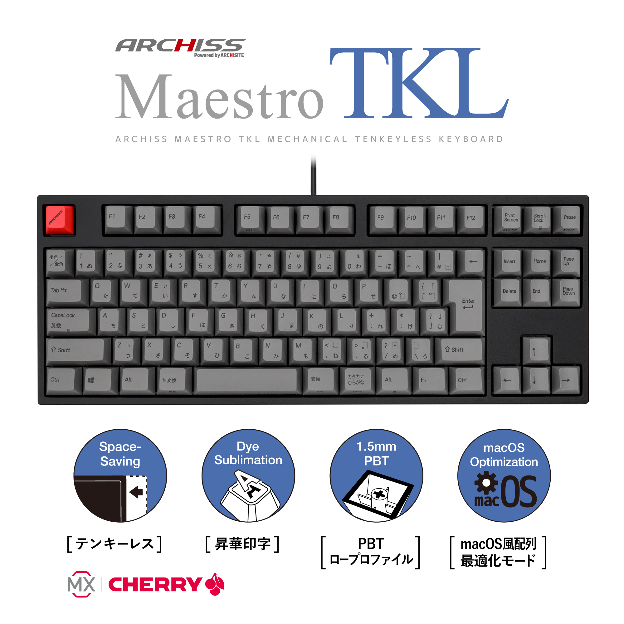 ARCHISITE アーキサイト Maestro TKL AS-KBM91/LGBA 有線 日本語配列 