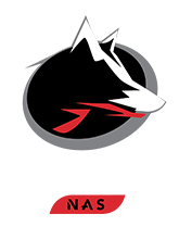 IronWolf logo