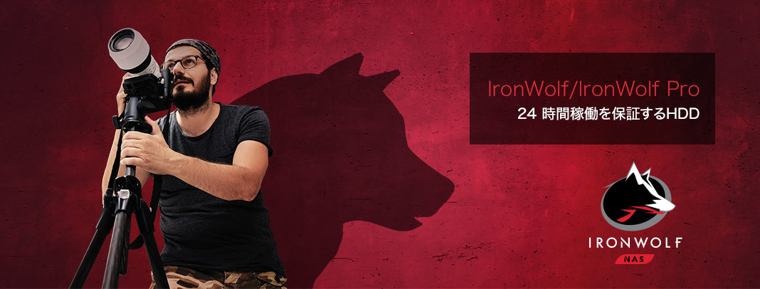 ironwolf/ironwolf pro