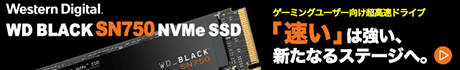 Western Digital製 ゲーミングユーザー向け NVMe対応 M.2 2280 SSD 「WD BLACK SN750 NVMe SSD」シリーズ新登場！