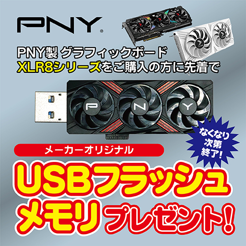 PNY オリジナル USBフラッシュメモリープレゼント