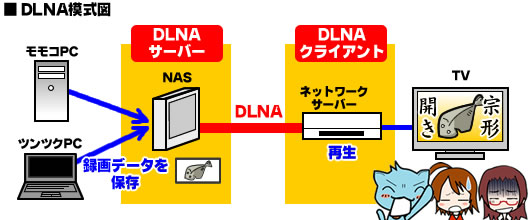 パソコン2台-NAS-ネットワークプレーヤー-テレビの接続例